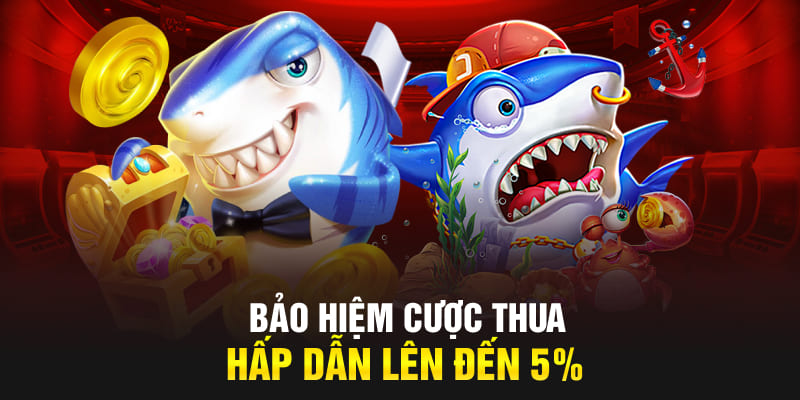 Bảo hiệm cược thua hấp dẫn lên đến 5%