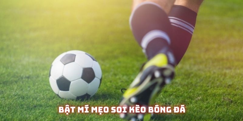 Bật mí kinh nghiệm soi kèo bóng đá chi tiết cho người mới