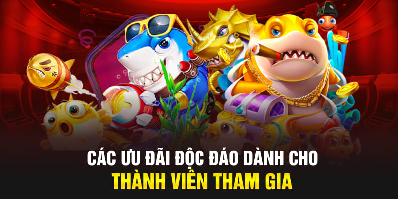 Các ưu đãi độc đáo dành cho thành viên tham gia