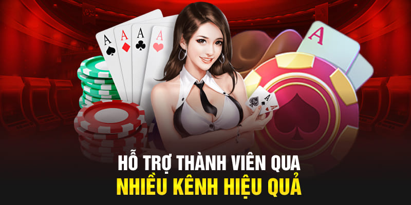 Hỗ trợ thành viên qua nhiều kênh hiệu quả