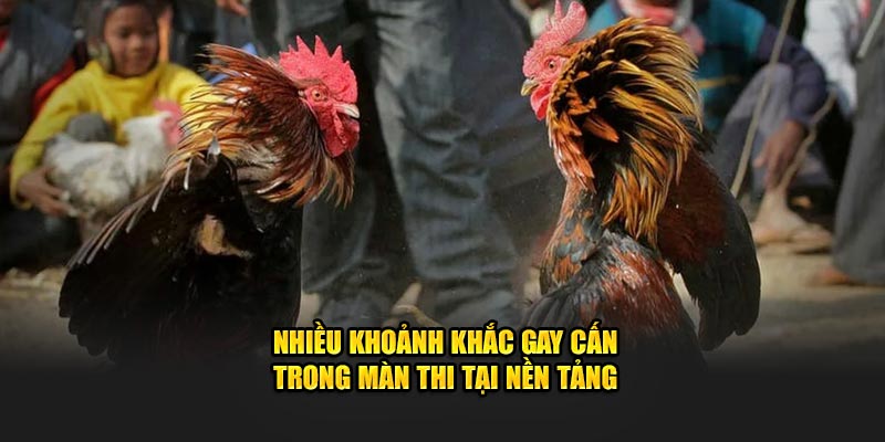 Nhiều khoảnh khắc gay cấn trong màn thi tại nền tảng