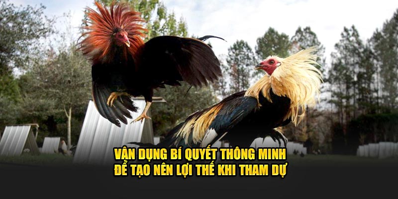 Vận dụng bí quyết thông minh để tạo nên lợi thế khi tham dự