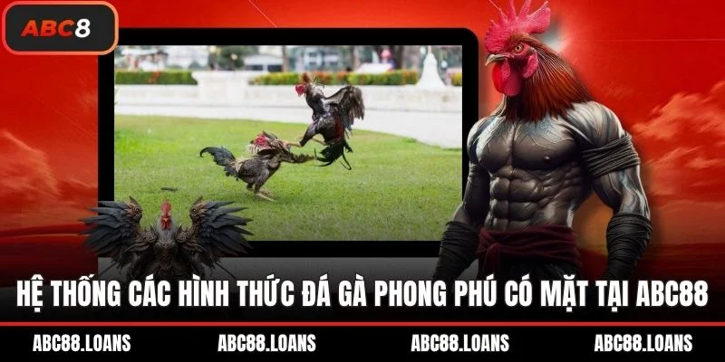 Hệ thống các hình thức đá gà phong phú có mặt tại ABC8